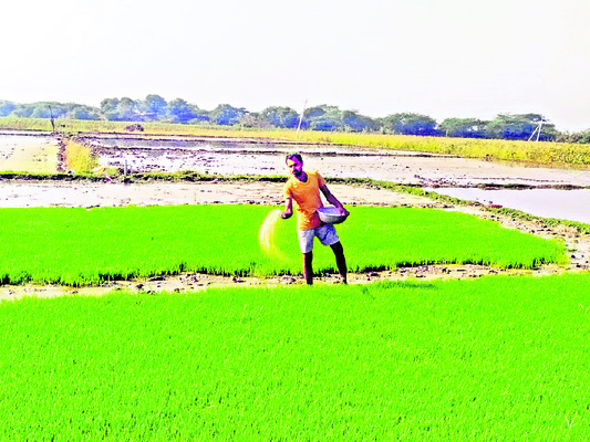 ముసురుతోనే సరి2