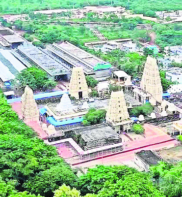 మియావాకి విధానంలో చిట్టడవుల పెంపకం1