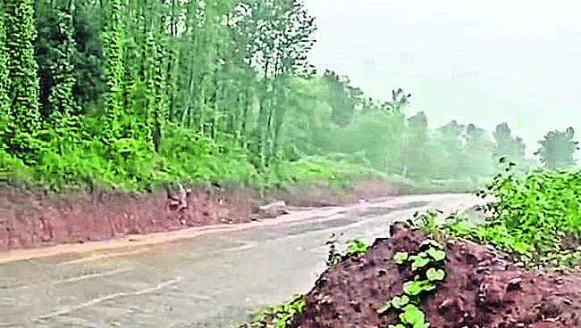 విస్తారంగా వర్షాలు1