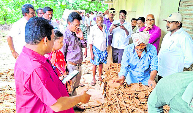 బాపట్ల7