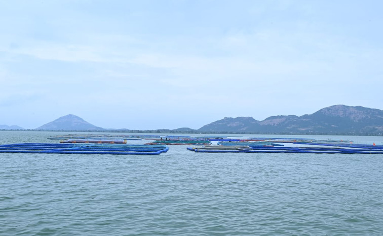 Officials Lifted Gates Of Musi Project Photos9