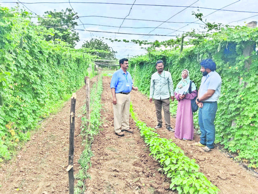 ఉద్యాన పంటల సాగుతో అధిక లాభాలు 
1