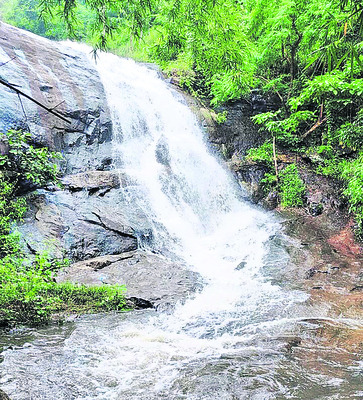 ●మన్యంలో జలపాతాల సోయగం 1