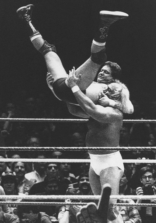 Hulk Hogan WWE Hall of Famer And Wrestling Legend Photos18