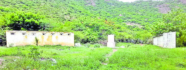 కొరవడిన సంతోషం5