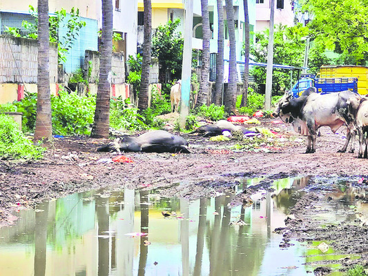 నైపుణ్యాభివృద్ధి శిక్షణకు ఒప్పందం 1