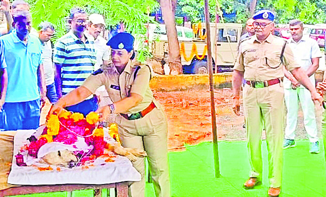విజయవాడ సిటీ7