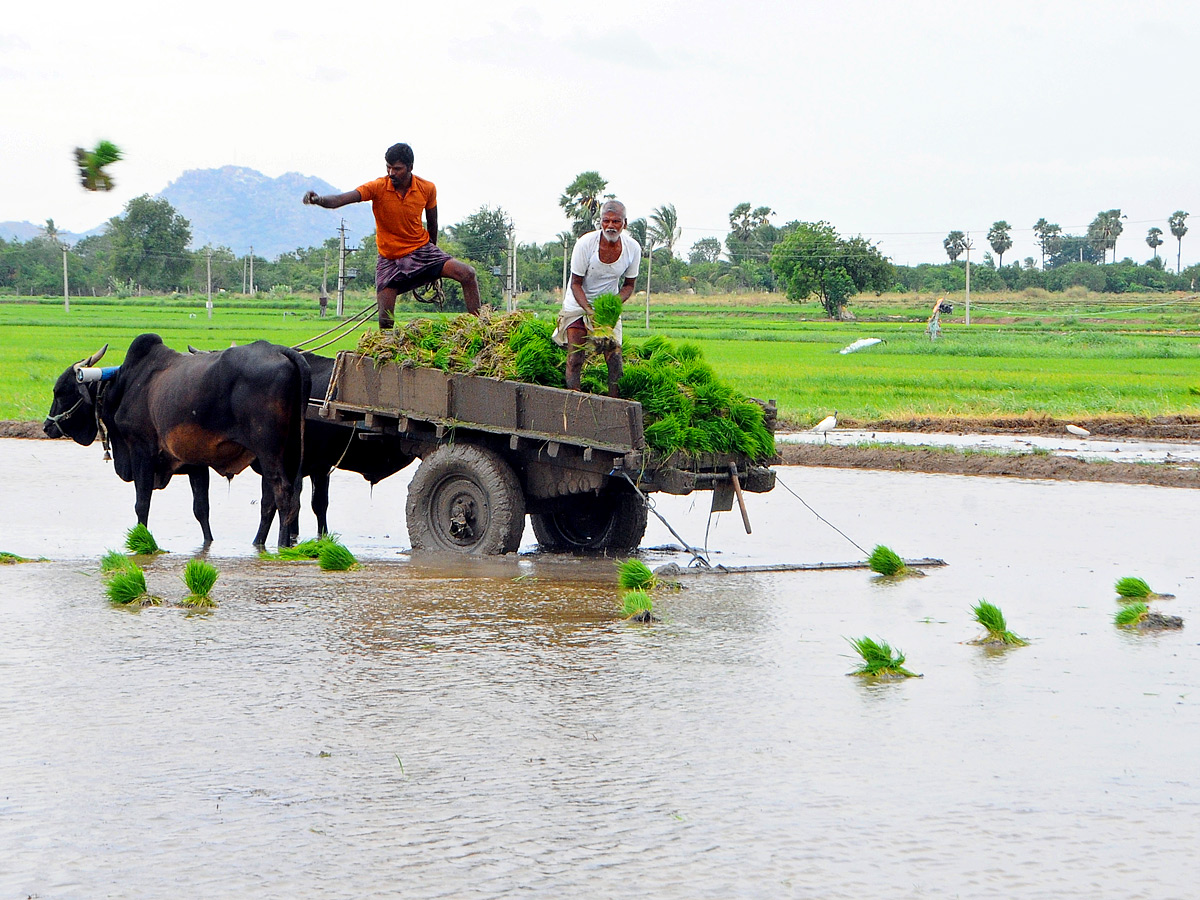 Best Photos of The Week in AP and Telangana Photo Gallery2