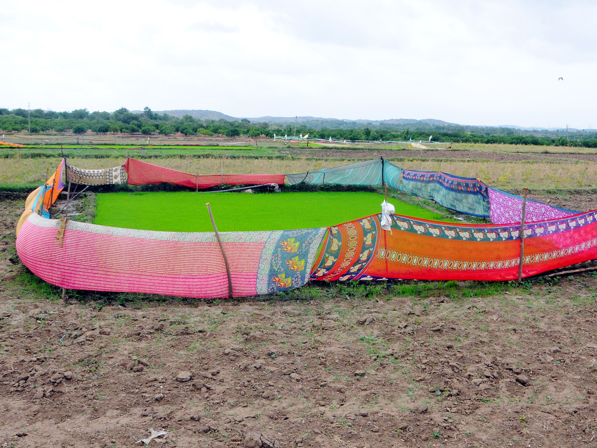 Best Photos of The Week in AP and Telangana Photo Gallery3