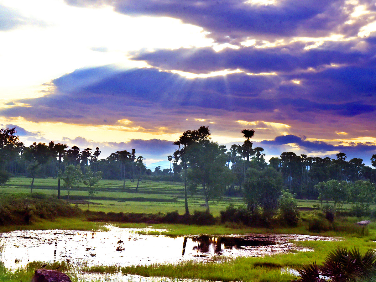 Best Photos of The Week in AP and Telangana Photo Gallery27