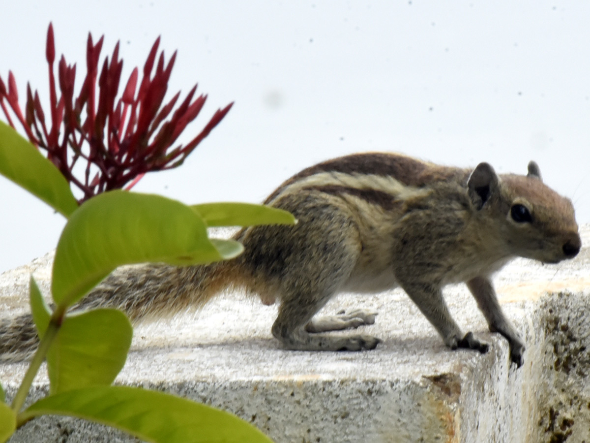 Best Photos of The Week in AP and Telangana Photo Gallery28
