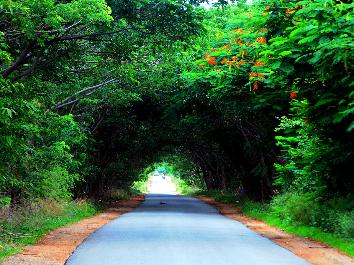 Best Photos of The Week in AP and Telangana Photo Gallery4