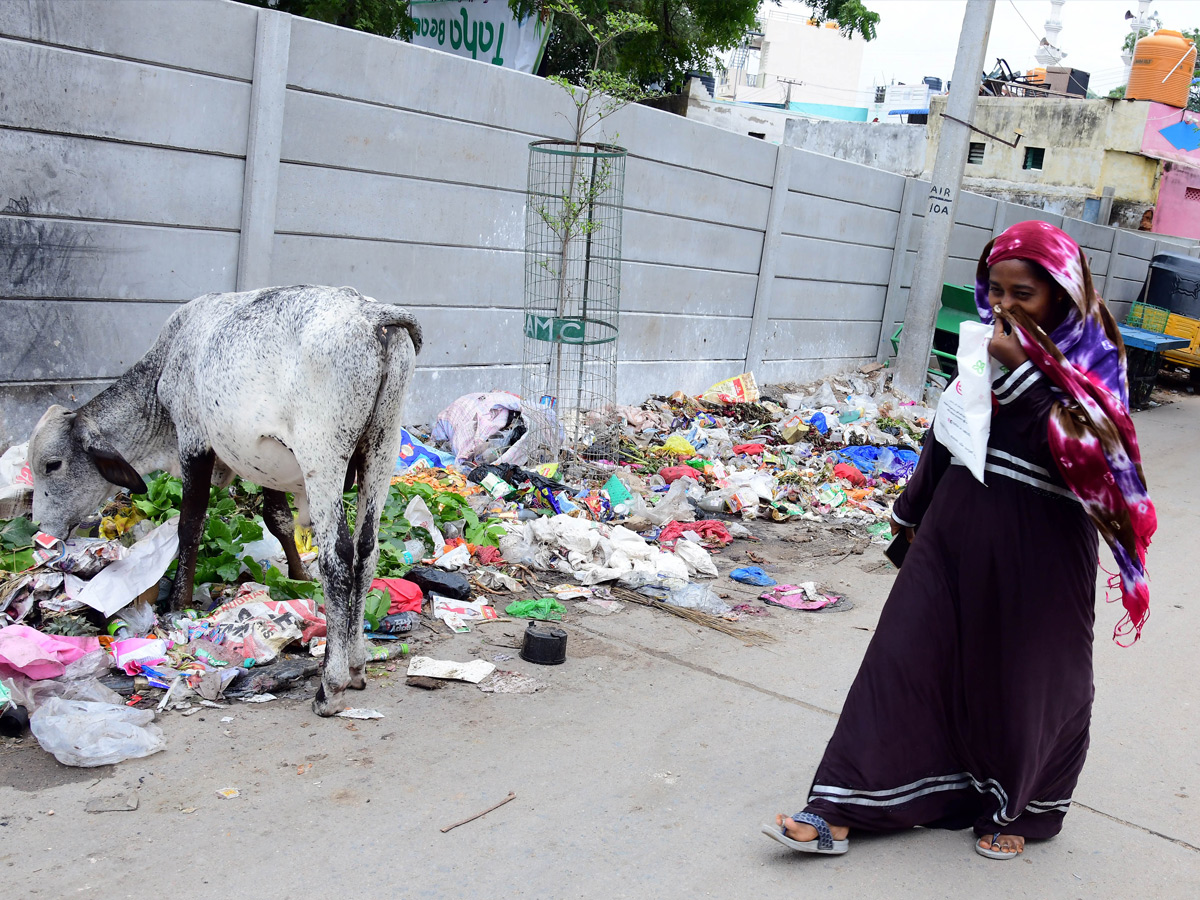 Best Photos of The Week in AP and Telangana Photo Gallery7