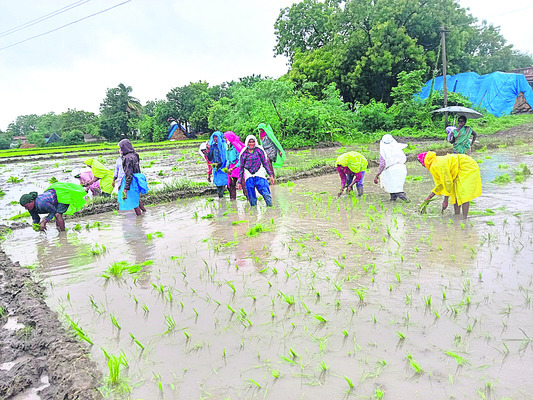 స్టేటస్ తెలుసుకోవడమిలా.. 2