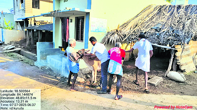 ఐసీడీఎస్ పీడీగా విమల 1