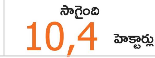 మొలకెత్తని ఆశలు 3