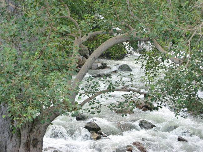 Devotional : Penna Ahobilam Near Anantapuramu Andhra Pradesh Photos 11