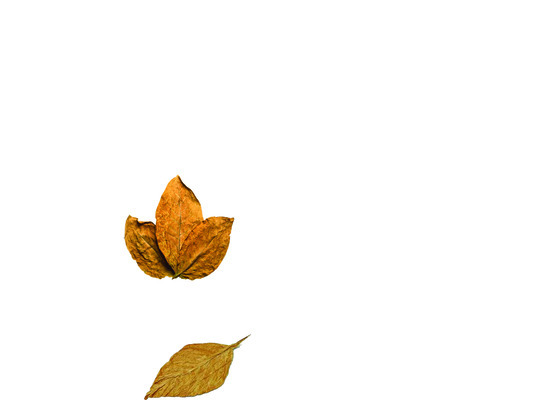 ధర ఢమాల్2