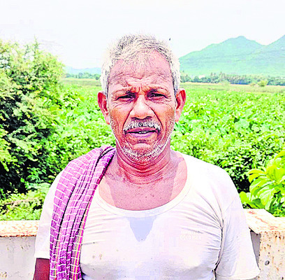 రైతులకు శాపం..! 2