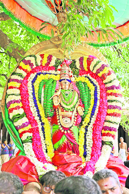 ఘనంగా అన్నామలైయార్కు తీర్థవారి 1