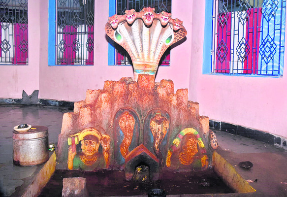 నాగ పంచమికి ముస్తాబైన ఆలయాలు 1