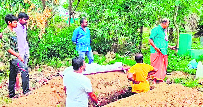 ఎక్కడో పుట్టి.. ఎక్కడో పెరిగి! 1