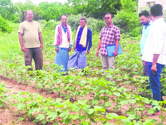 నానో యూరియాతో రైతులకు మేలు 1
