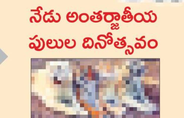 వైద్యసేవలు బాగున్నాయా?2