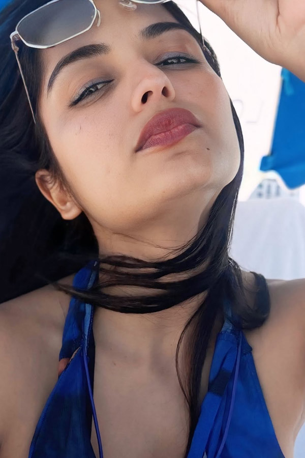 Bigg Boss Priyanka Jain beach vacation in the US Photos13