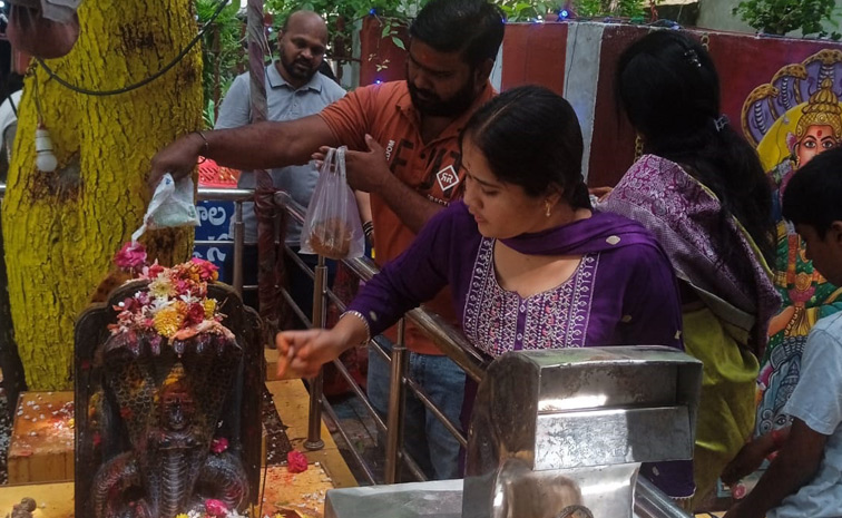 Naga Panchami Celebrations In Telugu States Photos12