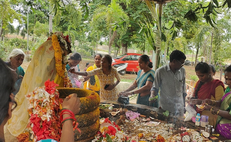 Naga Panchami Celebrations In Telugu States Photos13
