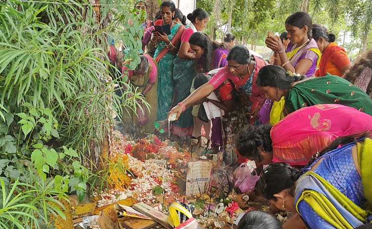 Naga Panchami Celebrations In Telugu States Photos14