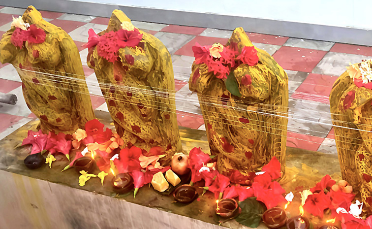 Naga Panchami Celebrations In Telugu States Photos21