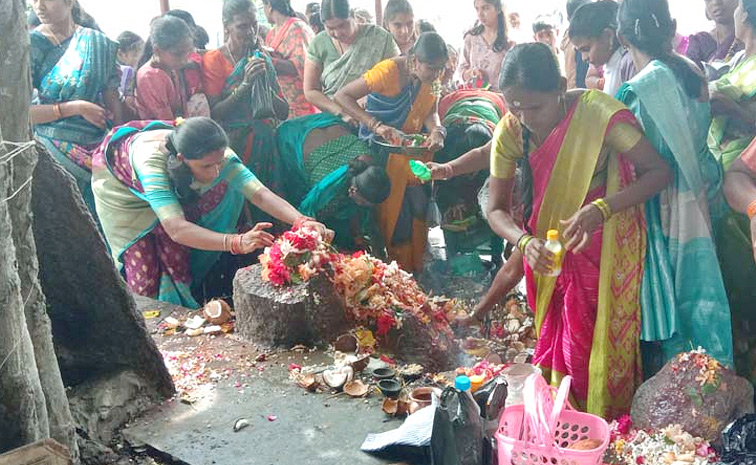 Naga Panchami Celebrations In Telugu States Photos25
