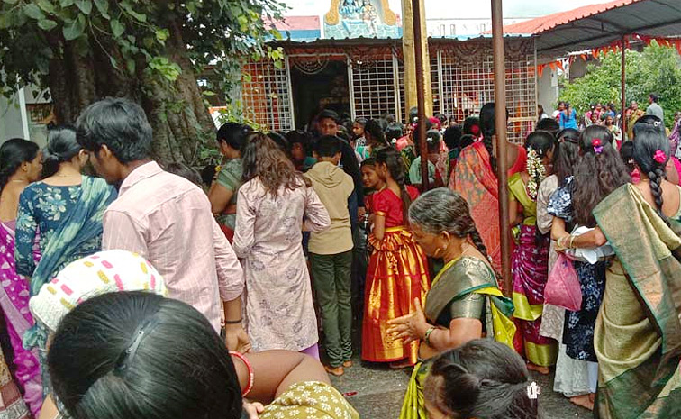 Naga Panchami Celebrations In Telugu States Photos26