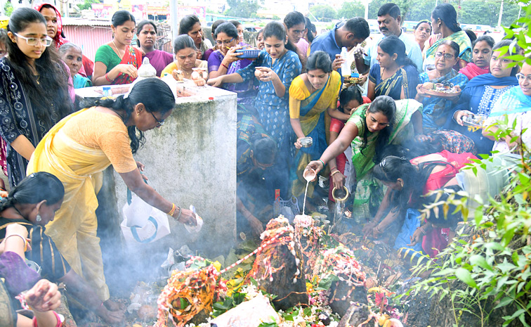 Naga Panchami Celebrations In Telugu States Photos4