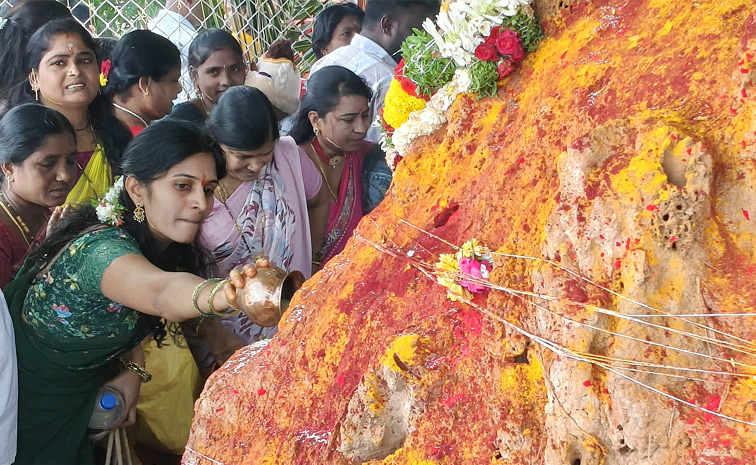 Naga Panchami Celebrations In Telugu States Photos9