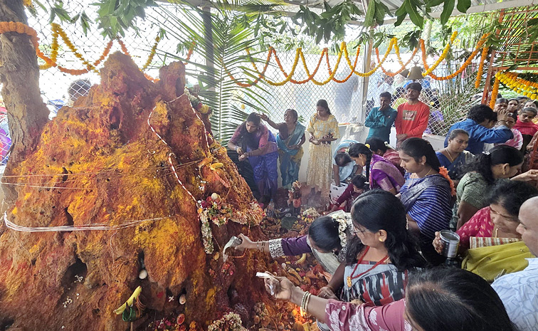 Naga Panchami Celebrations In Telugu States Photos10