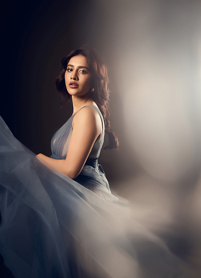 Tollywood Actress Nabha Natesh Viral Photos Gose2