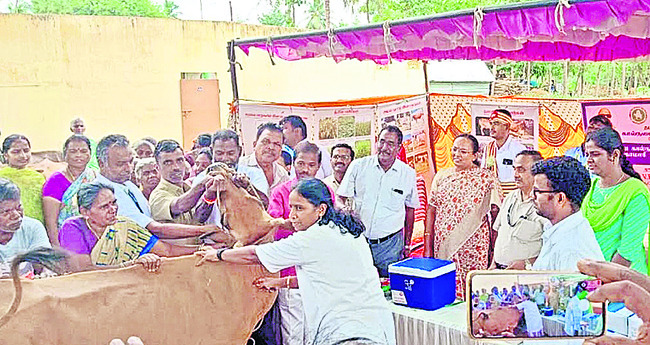 క్లుప్తంగా2