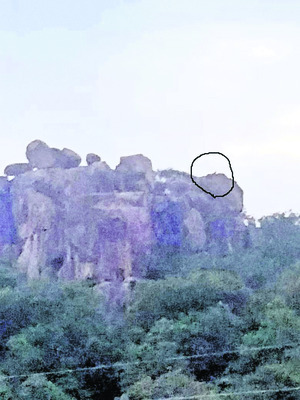 వీరన్నపేట సమీపంలో మళ్లీ కనబడిన చిరుత 1