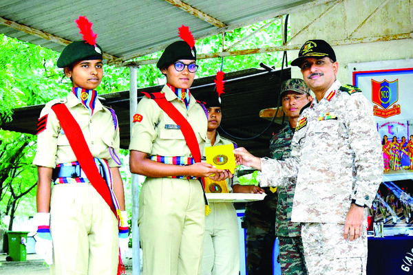 300 మామిడి చెట్ల నరికివేత1