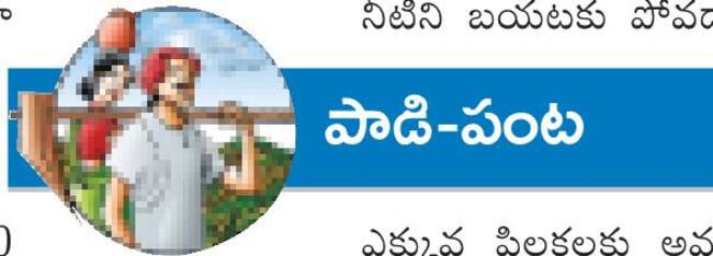అన్నదాత ఇంట.. సిరుల పంట 2