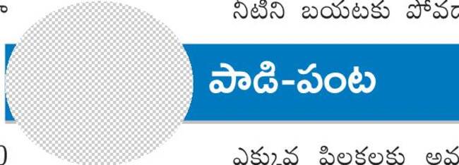 అన్నదాత ఇంట.. సిరుల పంట 2