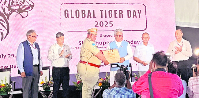 పులుల మనుగడతోనే అడవుల సంరక్షణ 1