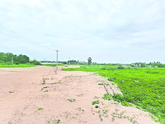 తీర భూములపై పచ్చ గద్దలు 1