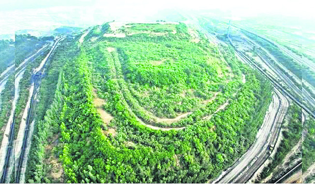 గనుల్లో వనాలు..1
