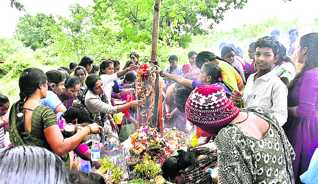 పాలుపోసి.. పూజచేసి..1