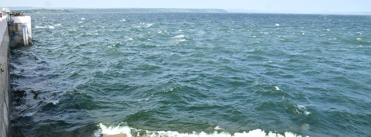 Nagarjuna Sagar Dam Gates Open 2025 Photos29