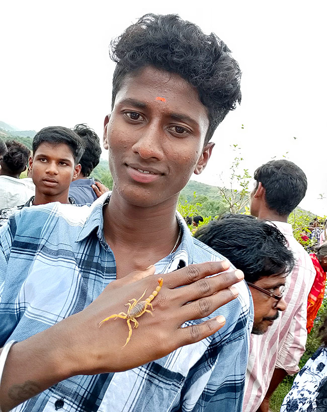 Tella Panchami in Mahabubnagar21